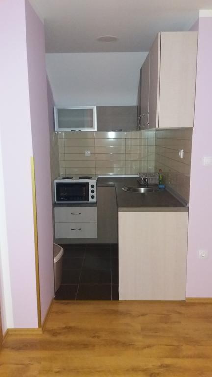 Apartmani Aleksijevic Златибор Экстерьер фото