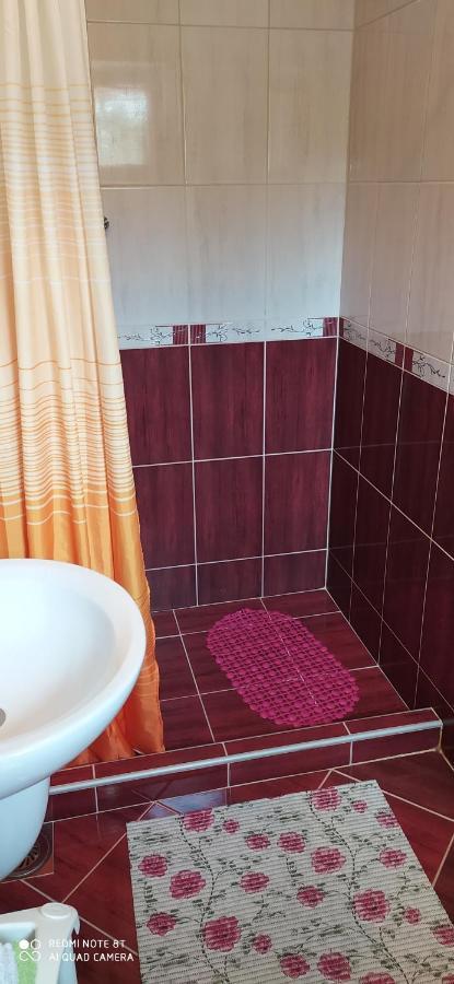 Apartmani Aleksijevic Златибор Экстерьер фото