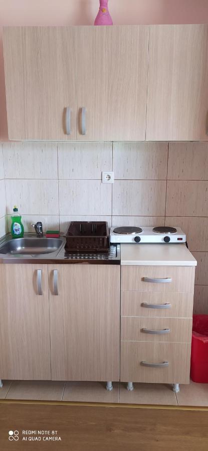 Apartmani Aleksijevic Златибор Экстерьер фото