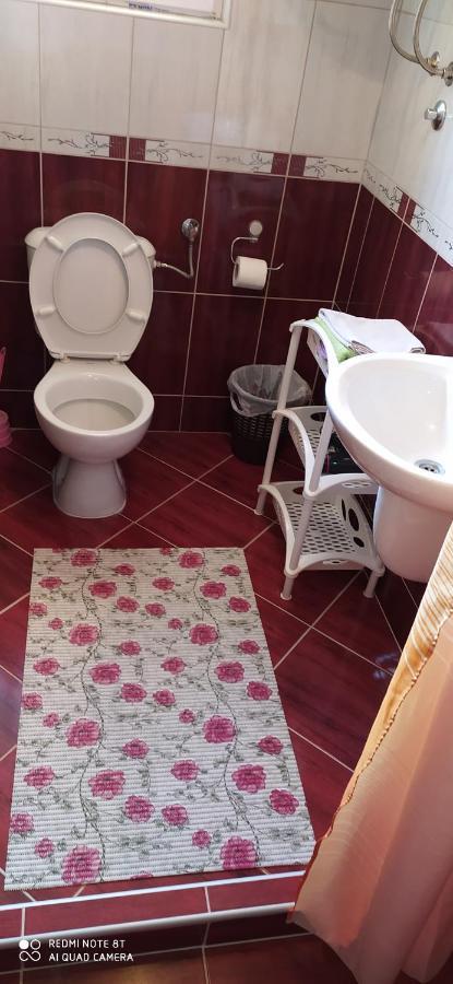 Apartmani Aleksijevic Златибор Экстерьер фото